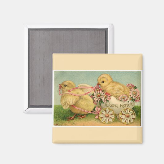  zoete kippen Pasen Magneet (Voorkant / Achterkant)