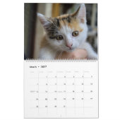 Zoete Kittens 2024 Katzen Kalender (Mar 2027)