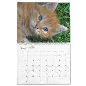 Zoete Kittens 2024 Katzen Kalender (Jan 2027)