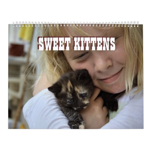 Zoete Kittens 2024 Katzen Kalender (Hoes)