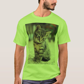 Zoete Kleine Kat Liefhebber Grafische T-shirt - He