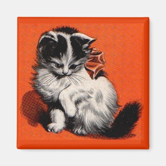 zoete kleine kitten magneet (Voorkant)