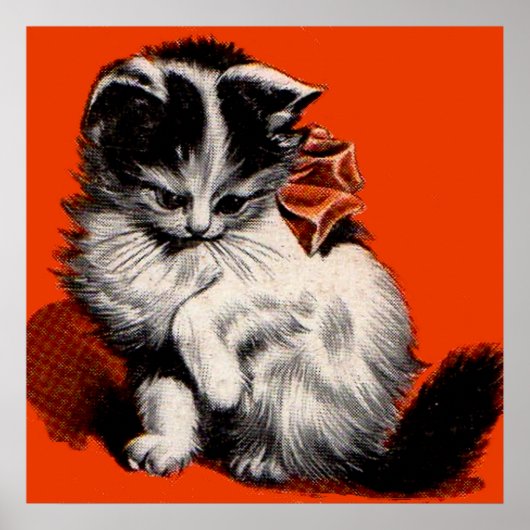 zoete kleine kitten poster (Voorkant)