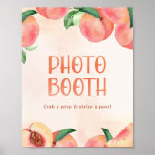 Zoete Kleine Perzik Baby Shower Bord Foto Booth Poster (Voorkant)