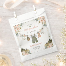 Zoete Kleine Pompoen Herfst Baby Shower