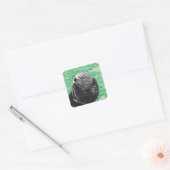 Zoete Kleine Zeeotter Schilderij Vierkante Sticker (Envelop)