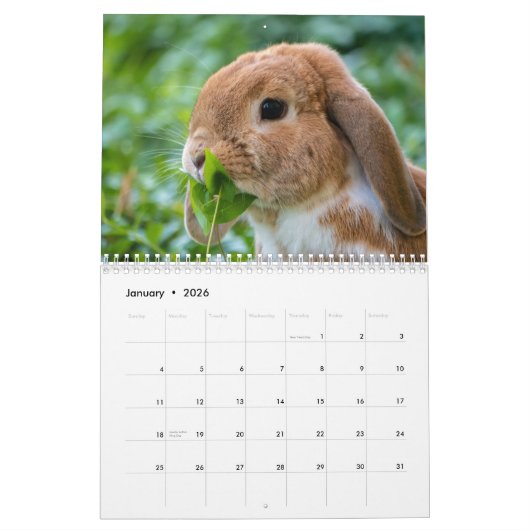 Zoete konijnen 2025 kalender (Jan 2026)