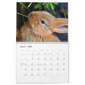 Zoete konijnen 2025 kalender (Mar 2027)