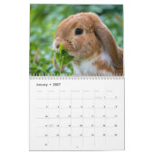 Zoete konijnen 2025 kalender (Jan 2027)