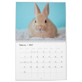 Zoete konijnen 2025 kalender (Feb 2027)