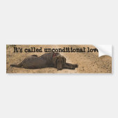 Zoete labrador Retriever op een bos spoor Bumpersticker (Voorkant)