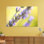 Zoete lavendel canvas afdruk (Insitu (Woonkamer))