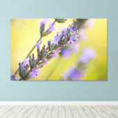 Zoete lavendel canvas afdruk (Insitu (Houten vloer))