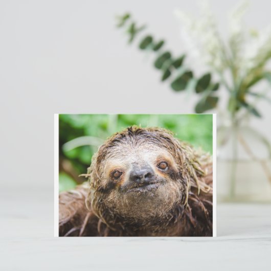 Zoete Luiaard Briefkaart (Staand voorkant)