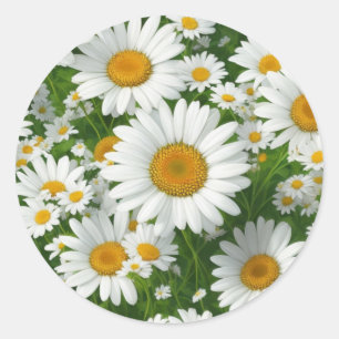 Zoete madeliefjespatroon wit bloemig groen ronde sticker