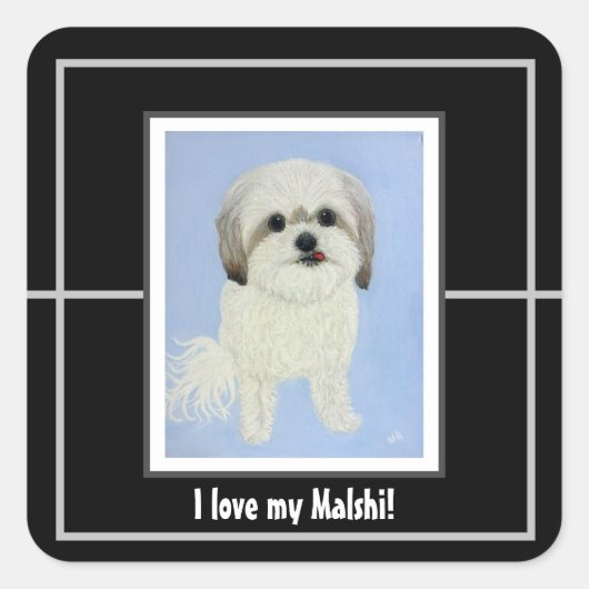 Zoete Malshi vierkante sticker (Voorkant)
