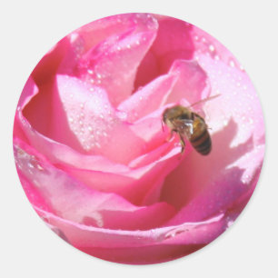 Zoete Nectar na een Lichte Regendouche, Bloembij Ronde Sticker