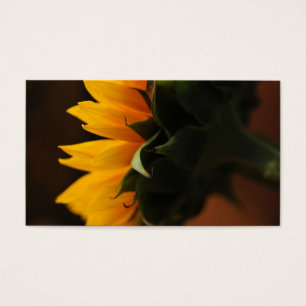 Zoete noot (zonnebloem) visitekaartje