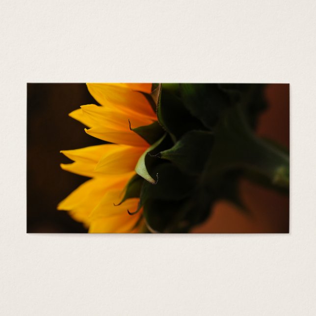 Zoete noot (zonnebloem) visitekaartje (Voorkant)