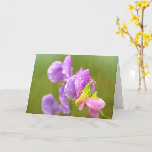 Zoete peul en regen vallen op zaterdag kaart (Gele Bloem)