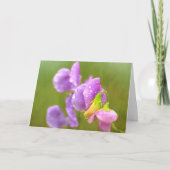 Zoete peul en regen vallen op zaterdag kaart (Voorkant)