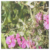 Zoete peul..... stof (Swatch)