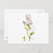 zoete peulen briefkaart (Voorkant / Achterkant)