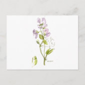 zoete peulen briefkaart (Voorkant)