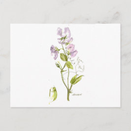 zoete peulen briefkaart