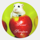 Zoete Pompon Ronde Sticker (Voorkant)