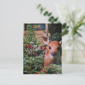 Zoete Ree in de Tuin Collage Briefkaart (Staand voorkant)