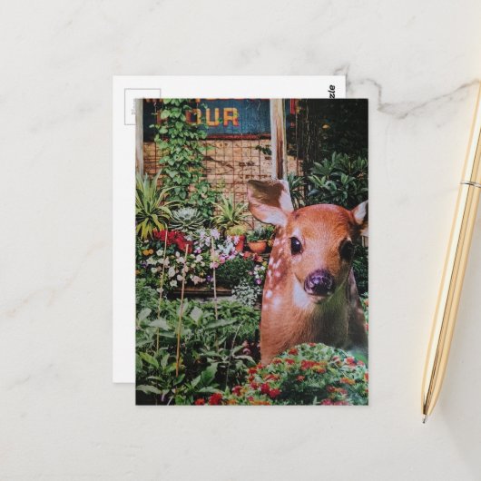 Zoete Ree in de Tuin Collage Briefkaart (Voorkant / Achterkant in situ)