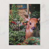 Zoete Ree in de Tuin Collage Briefkaart (Voorkant)