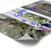 Zoete reflecties poster (Hoek)