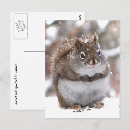 Zoete rode eekhoorn briefkaart (Voorkant / Achterkant)