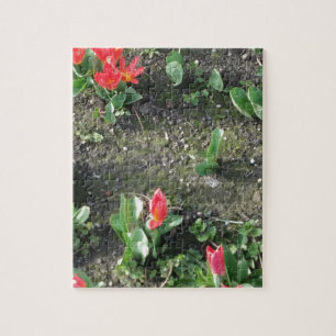 zoete rode lente bloemen in het park legpuzzel