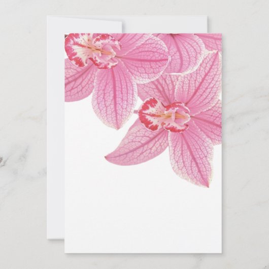 Zoete Roze Orchidee Bloemen Groen Verjaardag Kaart (Achterkant)