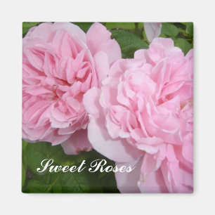 Zoete Roze Rozen Magneet