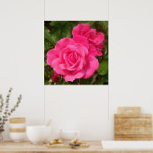 Zoete roze rozen poster (Keuken)