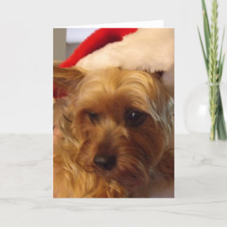Zoete Sassy Kerstmis Feestdagen Kaart
