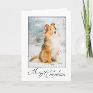 Zoete Sheltie Kerstkaart Feestdagen Kaart
