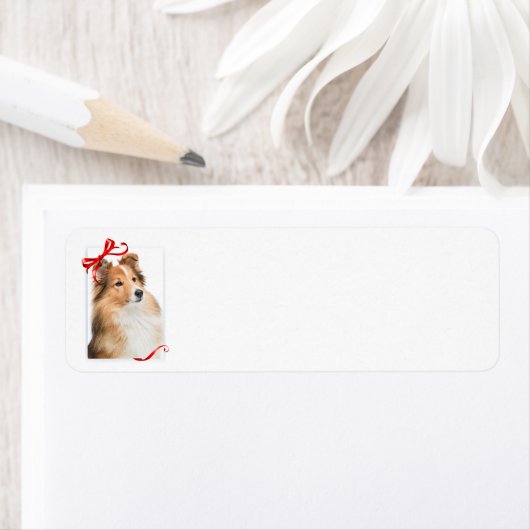 Zoete Sheltie retour adreslabels Etiket (Insitu)