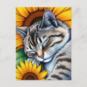 Zoete slapende grijze kat en zonnebloem briefkaart (Voorkant)