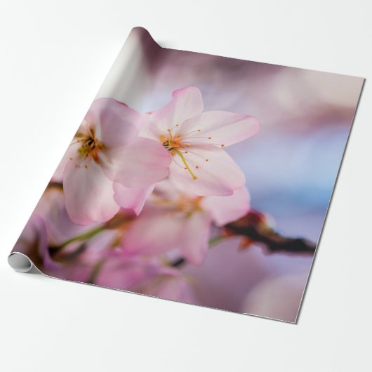 zoete torenbloesems met roze kleur en blauwe hemel cadeaupapier (Uitgerold)