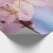 zoete torenbloesems met roze kleur en blauwe hemel cadeaupapier (Hoek)