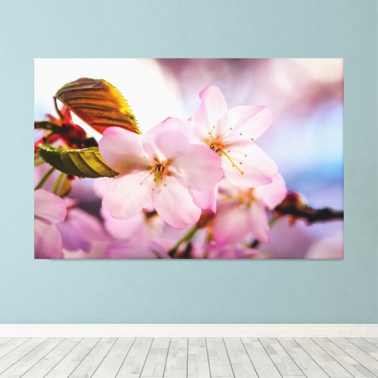 zoete torenbloesems met roze kleur en blauwe hemel canvas afdruk (Insitu (Houten vloer))