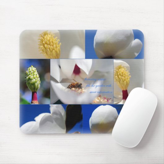 Zoete vergiftiging muismat (Met muis)