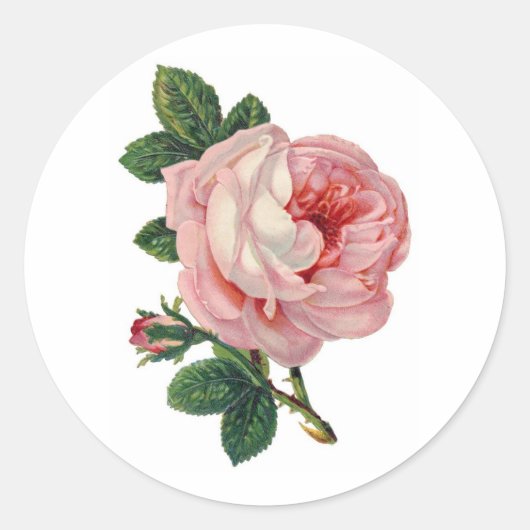 Zoete Victoriaans Rozen Sticker (Voorkant)