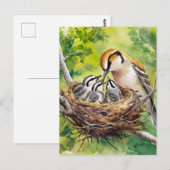 Zoete vogel nest schildering briefkaart (Voorkant / Achterkant)