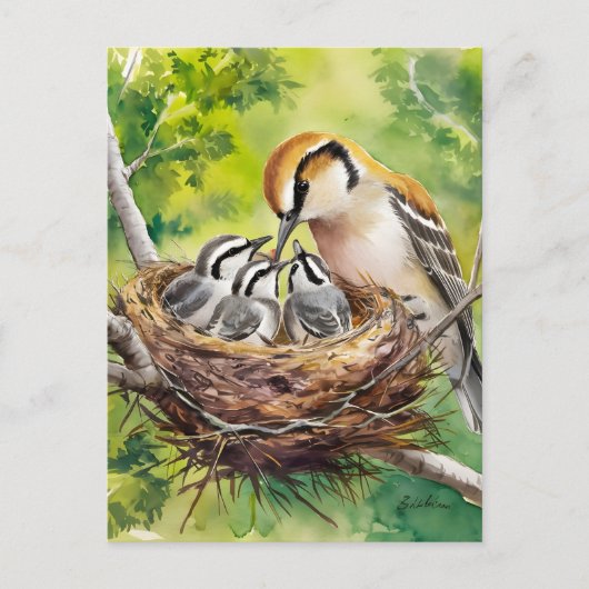 Zoete vogel nest schildering briefkaart (Voorkant)